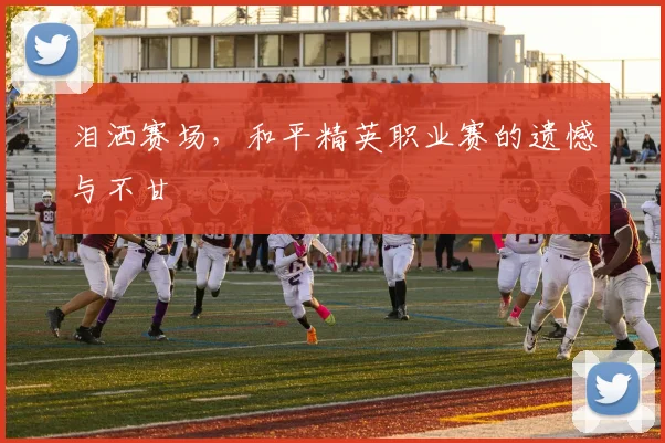 泪洒赛场，和平精英职业赛的遗憾与不甘