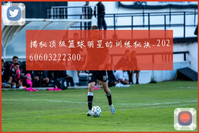 揭秘顶级篮球明星的训练秘诀_20260603222300