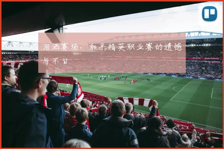 泪洒赛场,和平精英职业赛的遗憾与不甘